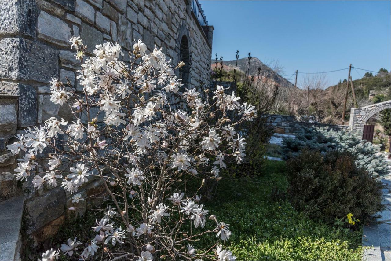 Stone Mansion Anavryti, Αμα 20569 Villa Mystras Eksteriør bilde